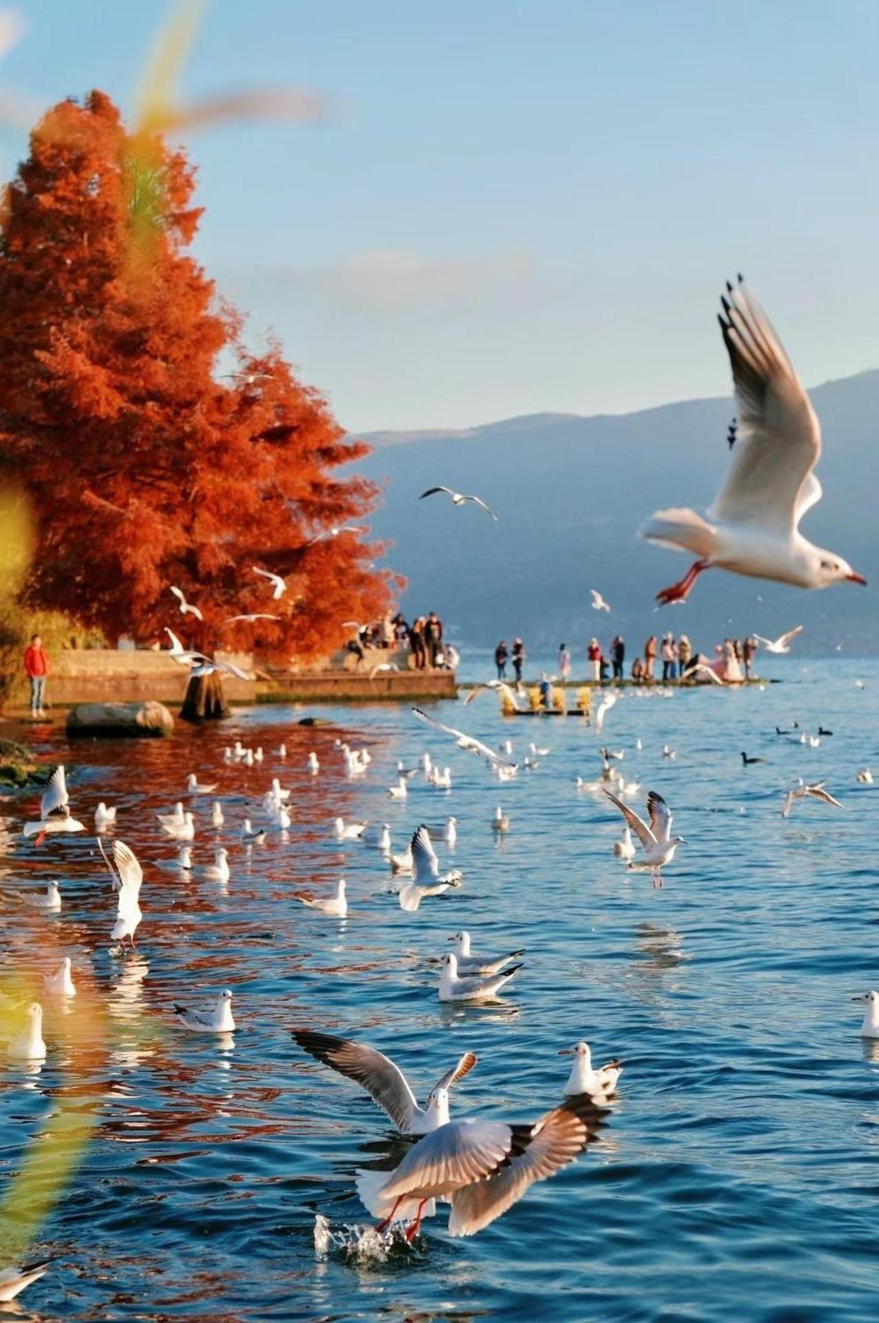 Dali Nest Secret Garden Lake View Inn エクステリア 写真